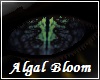Algal Bloom Eyes