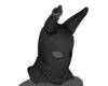 V61.1 ❘❘