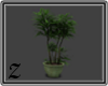 [Z] Green Bonsai Plant