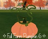 Fall Farm Pumpkin 6