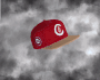 cubs