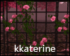 [kk] Roses  Fence
