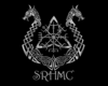 SRHMC Viking Runes Pose