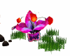 .flor
