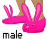 soft pink bunny (male)