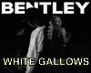 WHITE GALLOWS-Bentley