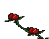 Animated Roses