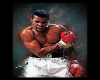 DBLE SIDED BOXING PICS
