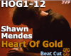 Shawn Mendes Heart of Gd