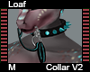 Loaf Collar M V2