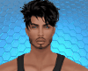Black Muscles Bundle