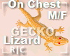 R|C Gecko Orange M/F