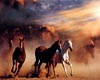 (LIR) Horses Backdrop.