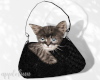 🍎🐰 Black Bag w Cat