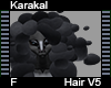 Karakal Hair F V5