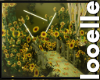 BoHo Sunflower Bundle