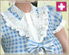 spring gingham b