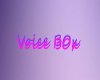 (K) Voice Box 