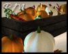 [RM]Fall Potted pumpkins