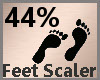 Feet Scaler 44% F
