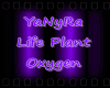 IYILife Plant Oxygen