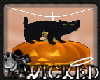 Wicked BlkCat n Pumpkin