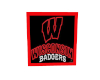 Wisconsin Badgers