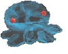VKA Blue Tiger Octopus