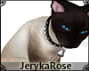 [JR] Cat Animated
