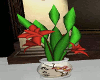 orchid flower pot