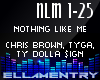 Nothing Like Me-Chris/TY