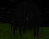 Weeping Willow Black