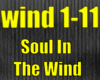 Soul In The Wind