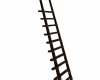 TD Castle ladder