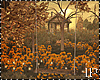 Golden Leaves Sun Fall