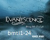 Evanescence - Bring me