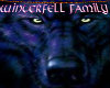 winterfell banner just t