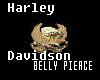 Harley Davidson Pierce