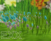 Spring Flower