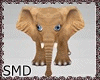 ! Baby Elephant/2P
