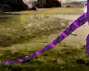 purple roo roo tail