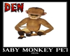 Baby Monkey Pet