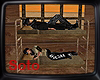 *S*Prison Bunks/Bed