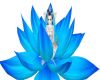 HamsterThoth Blue Lotus