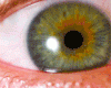 Green eye