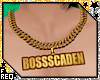 ⍣ Bossscaden