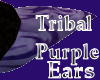 Tribal Purple Neko Ears