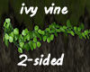 !Ivy vine 2-sided