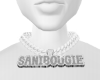 sanibougie custom