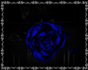 Blue Rose True Love